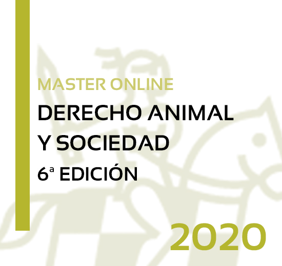 Formacion Mexico Master Online Derecho Animal Y Sociedad